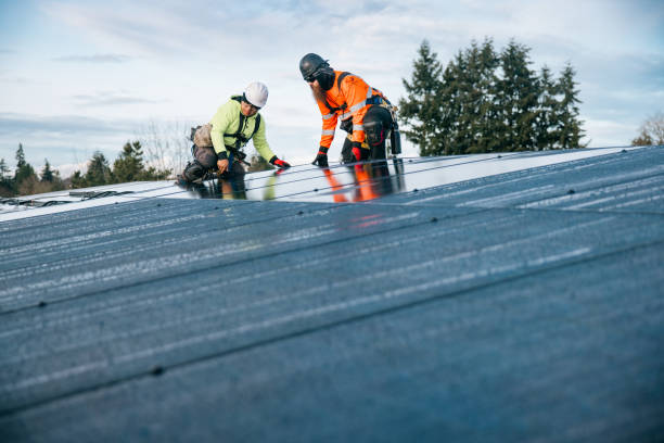 Reliable Metal Roofing contractor in Irwinville, GA by Roof Repair Smedway